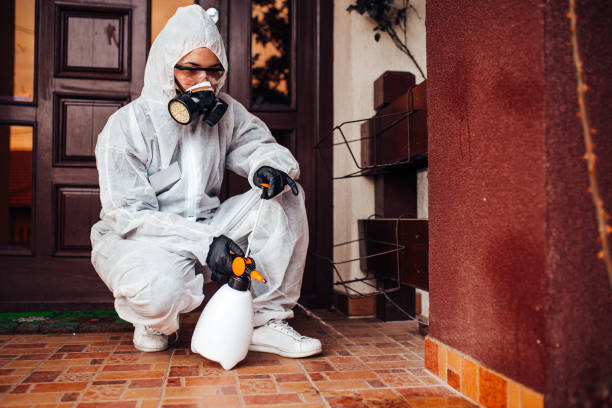 Reliable Ant Control contractor in Gretna, LA by Nex Pest Control