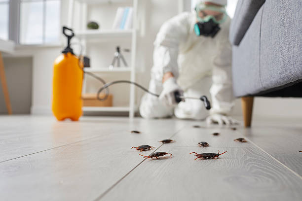 Trusted Fumigation Services service in Gretna, LA - Nex Pest Control